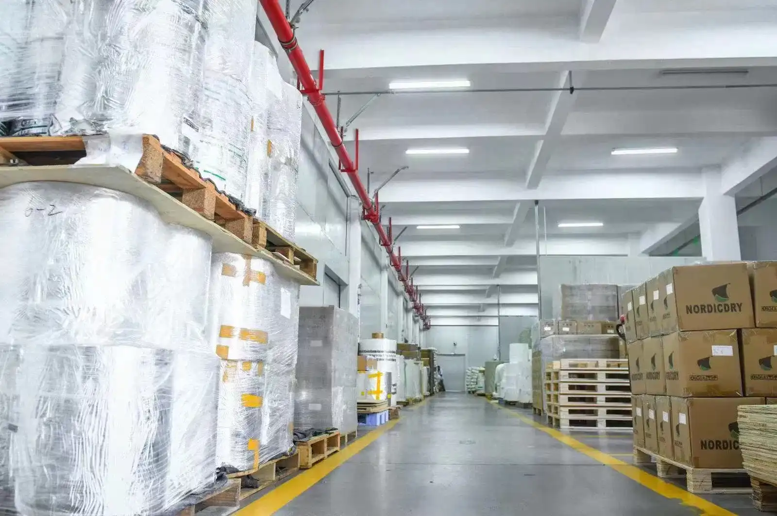 Customization Options